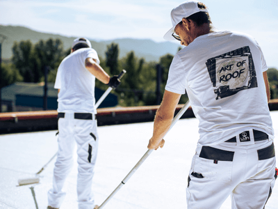 About Leaking Skylight Repair Pros Lebec, CA
